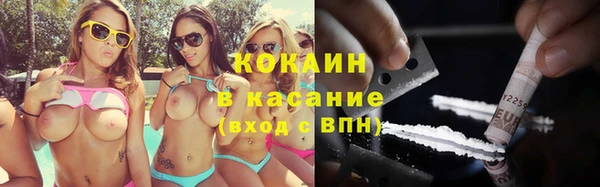 шишки Армянск