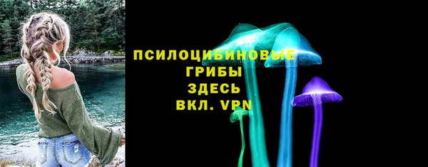 шишки Армянск