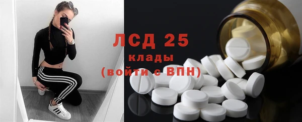 шишки Армянск